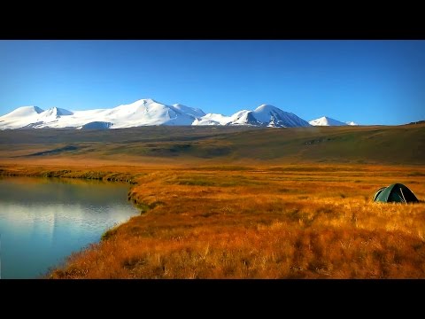 Видео: Укок-поля бессмертия.