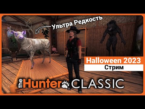 Видео: Охота во время Halloween 2023 в theHunter Classic !
