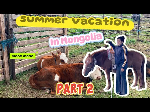 Видео: МОНГОЛД ӨНГҮҮЛСЭН ЗУНЫ АМРАЛТ ( каникулы в монголии) часть 2