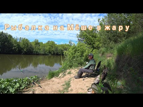 Видео: Рыбалка на реке Мёша в жару / Июнь-2024