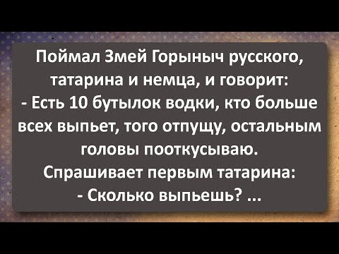 Видео: Змей Горыныч! Сборник Самых Свежих Анекдотов!