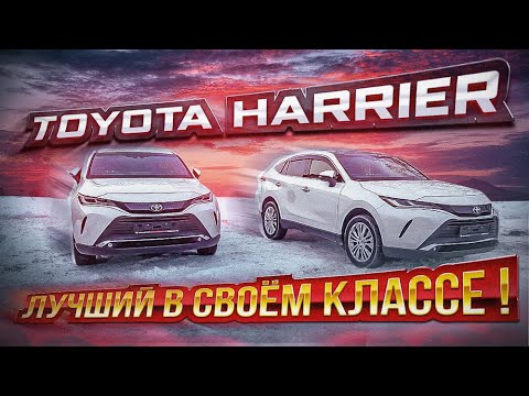 Видео: Harrier 2021 - Лучший для города!