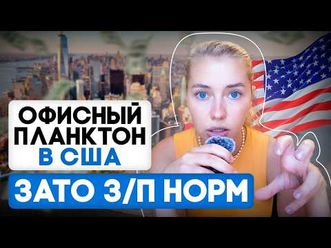 Видео: Мой путь к офисной работе в США | 5 работ в месяц