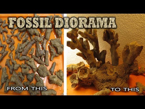 Видео: Как сделать окаменелую диораму