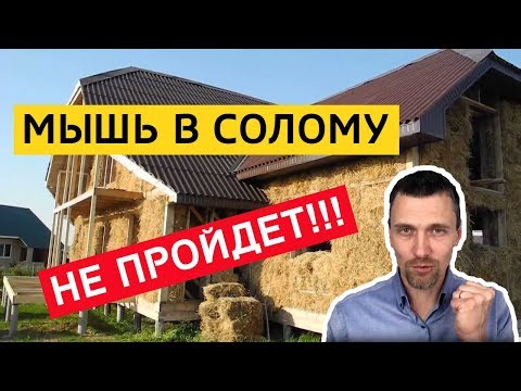 Видео: Мышь в солому не пройдёт