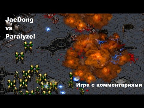 Видео: ЭТАЛОННОЕ ЗЕРГ ПРОТИВ ПРОТОССА ОТ ДЖАЕДОНГА!