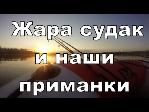 Видео: ЛОВИМ СУДАКА В ЖАРУ