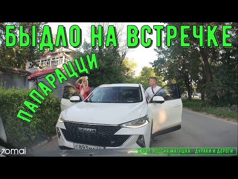 Видео: Быдло на встречке #186! Подборка на видеорегистратор!
