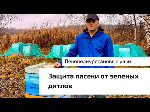 Видео: РАБОТА С ПЕНОПОЛИУРЕТАНОВЫМИ УЛЬЯМИ. ЗАЩИТА ПАСЕКИ ОТ ДЯТЛОВ