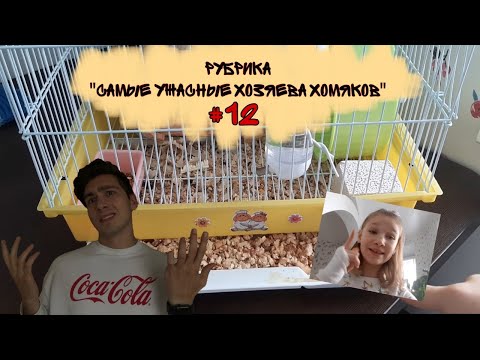 Видео: Рубрика "Самые ужасные хозяева хомяков" #12  Домик и колесо по желанию...