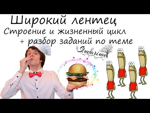 Видео: Широкий лентец. Строение и жизненный цикл широкого лентеца. Примеры решения заданий