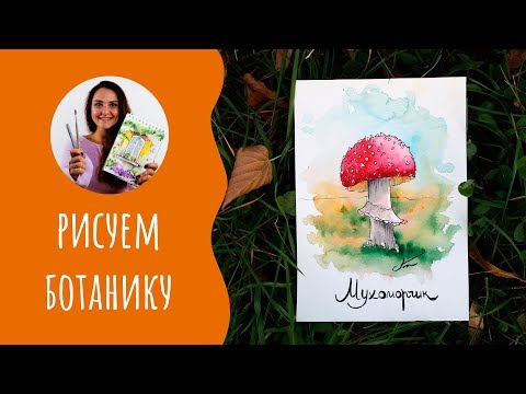 Видео: Как нарисовать мухомор. Урок рисования. Скетчинг для начинающих.