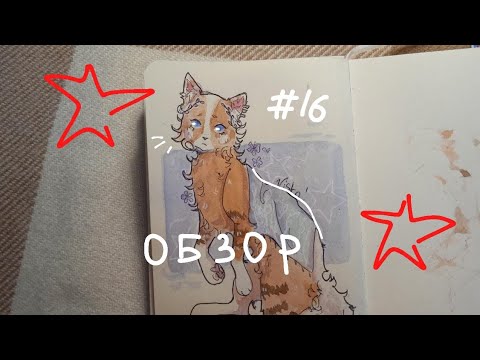 Видео: обзор скетчбука! 🐱⭐коты воители