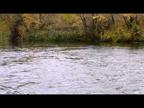 Видео: Аркадий Северный - Там,где клён шумит.