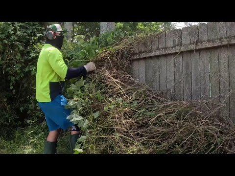 Видео: ЗАБРОШЕННОЕ имущество СПАСЕНО! Эпическая стрижка высокой травы.