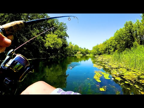 Видео: ЭТО НЕ РЫБАЛКА, А СКАЗКА! ДИКИЕ НЕТРОНУТЫЕ МЕСТА! Рыбалка на спиннинг на малой реке!