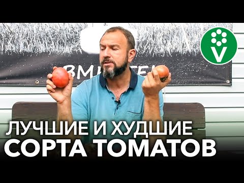 Видео: ХУДШИЙ СОРТ ТОМАТА 2020 г. И еще 8 сортов томатов, которые действительно меня поразили!