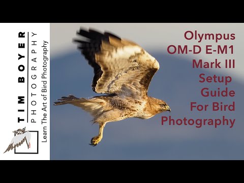 Видео: Руководство по настройке Olympus OM-D E-M1 Mark III для фотосъемки птиц
