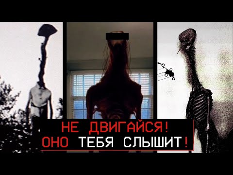 Видео: БУДЬ КАК МОЖНО ТИШЕ! | Doctor Nowhere (TikTok)