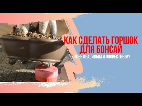 Видео: Что сделать чтобы, горшок для БОНСАЙ стал выглядить лучше и красивее? Уход за горшками для бонсай