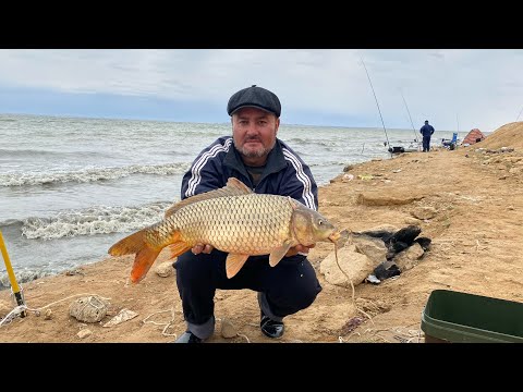 Видео: Шар. Крепость