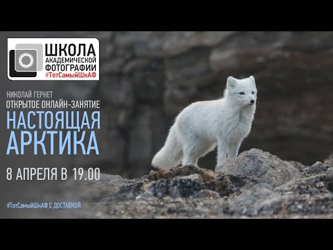 Видео: ТотСамыйШкАФ с доставкой. Настоящая Арктика