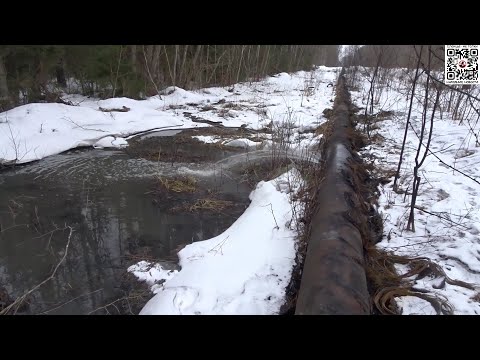 Видео: Леноблводоканал сливает канализацию в лес. Город Сланцы 2024