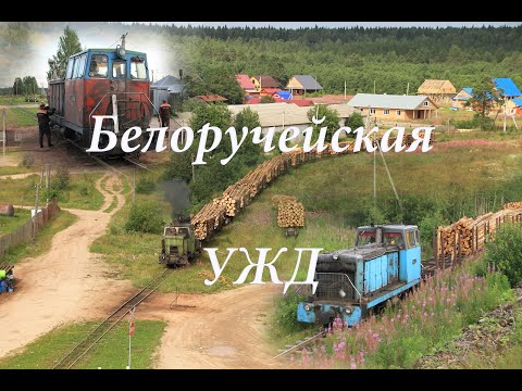 Видео: Белоручейская УЖД