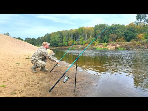 Видео: Я ПРОСТО В ШОКЕ! Запрещенная Рыбалка на Хищные Донки! Рыбалка на донки крокодил с ночёвкой.