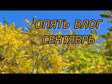 Видео: Опять влог! 🤦 Сентябрь 25. #rukivdelo #вязовлог 