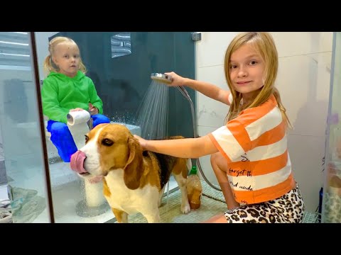 Видео: СОФИЯ И НИКА ЗАБРАЛИ СОБАКУ С УЛИЦЫ. СОФУНЬЯ ШАЛУНЬЯ