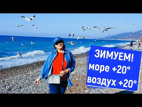 Видео: Зимуем у моря. Первый день в Лазаревском. Пешком от станции до Ширака. Наш номер. Наш быт. Наше море