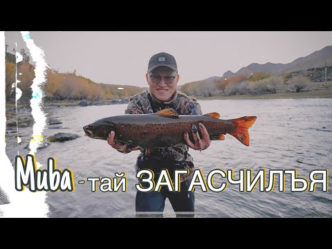 Видео: 🎣ТУЛ🎣 БАРЬЖ ЧАДСАН УУ? [Мөбатай Загасчлал] [Fishing in Mongolia, hucho taimen, siberian lenok]