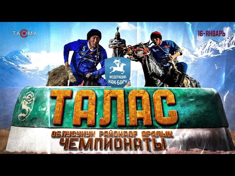 Видео: Талас облусунун райондор аралык чемпионаты 16,01,2024