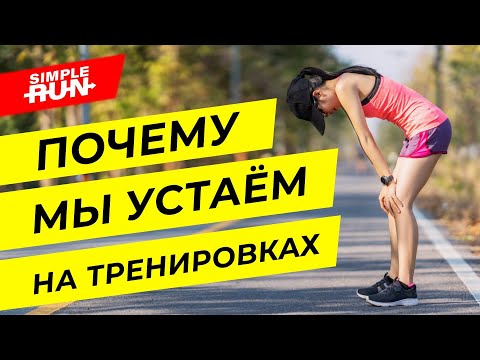 Видео: Как не уставать во время бега? Причины и виды усталости организма