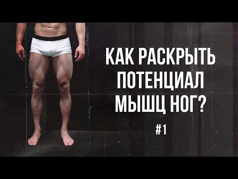 Видео: МЫШЦЫ НОГ | БАЗА  | ЧАСТЬ 1