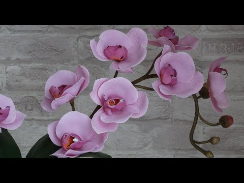 Видео: Орхидея фаленопсис из фоамирана мастер класс (часть 2)