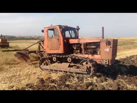 Видео: Пахота зябки. Кировец К-701 и Алтай Т-4