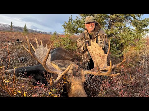 Видео: Первый лось Джона