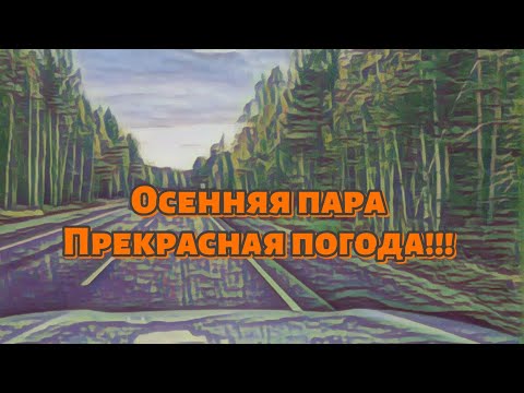 Видео: Золотая осень | Прекрасная время года | Но есть нюансы.... #осень #automobile #travel