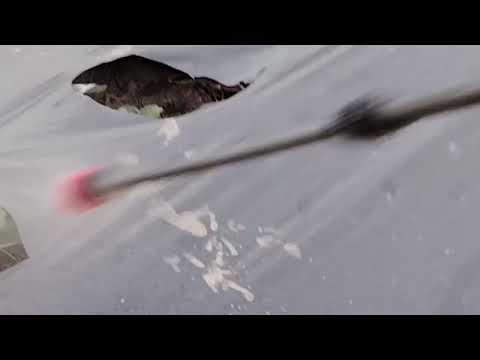 Видео: Швидке вирішення дефіциту кальцію