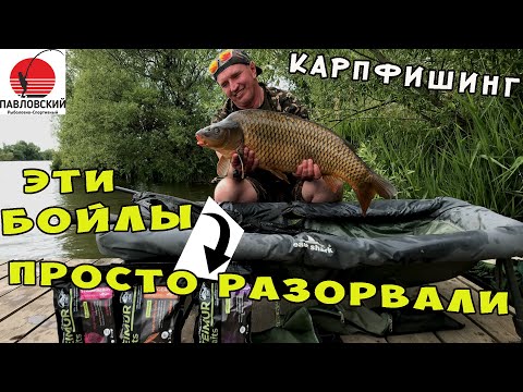 Видео: КАРПФИШИНГ !  "РСК ПАВЛОВСКИЙ" ПРОСТО РАЗОРВАЛИ  НА ЭТОТ БОЙЛ !!! 💣🎣💪( вольная рыбалка )