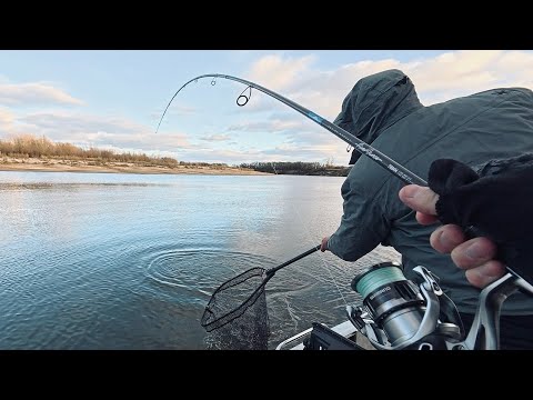Видео: Осенняя раздача хищника! Трофейная рыбалка на спиннинг с лодки! #рыбалка #72 #спиннинг #джиг #хищник
