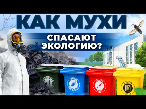 Видео: Как насекомые спасают планету? Отходы и их вторая жизнь | Экология в безопасности | Андрей Даниленко
