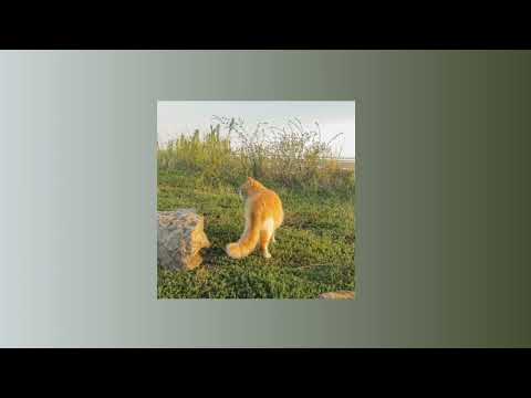 Видео: Бумер - Не плачь | Speed up |