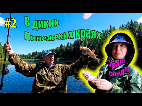 Видео: #2 Сплав по реке Пинега | Первая рыбалка | Рыбацкие домики | Комариное царство