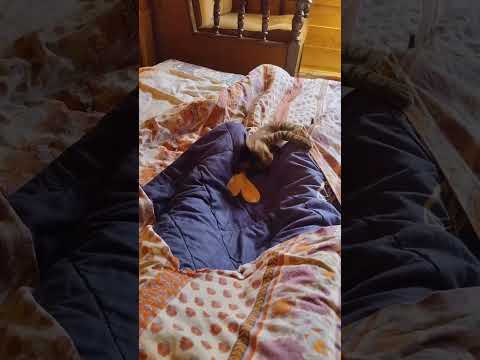 Видео: Я очень горжусь, что мой сын вырос достойным человеком!!!❤❤❤