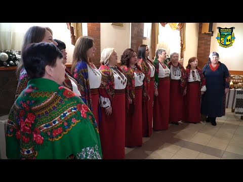 Видео: Святкова благодійна Розколяда в Стебнику