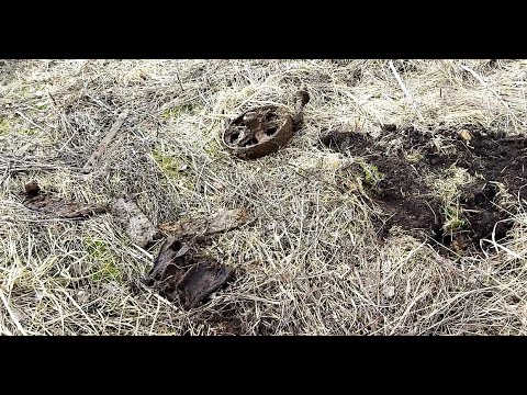 Видео: ДВА ДНЯ МЕТАЛЛАКОПА. РАЗВЕДКА НОВОГО МЕСТА