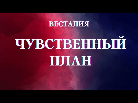 Видео: Чувственный план #чувственныйплан #Весталия #ШколаСорадение